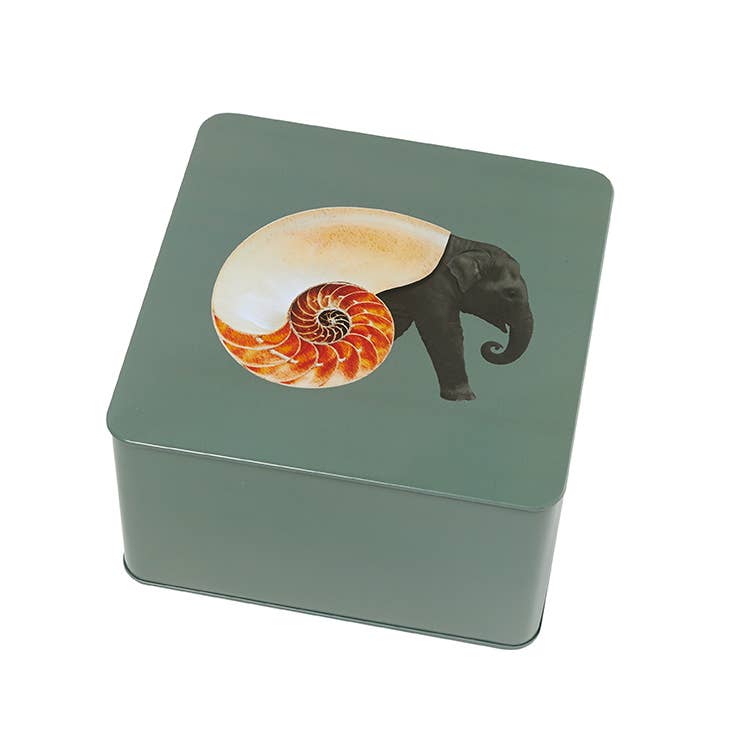 Shellephant square metal tin box Sorella Glenn