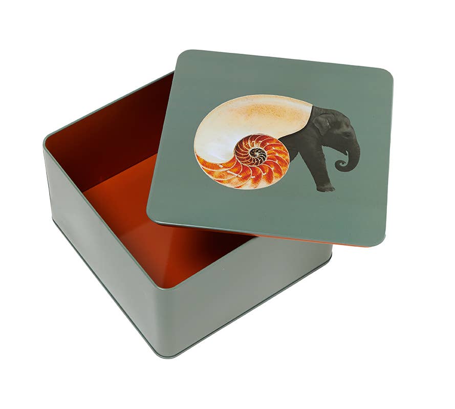 Shellephant square metal tin box Sorella Glenn