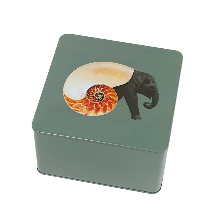 Shellephant square metal tin box