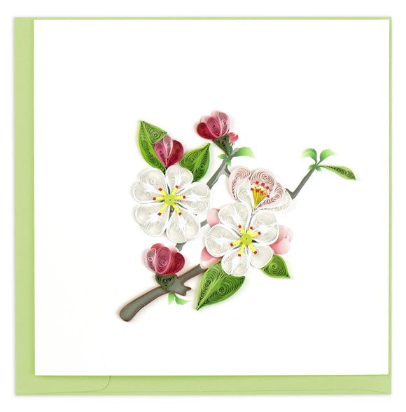 Quilling Card - Apple Blossom