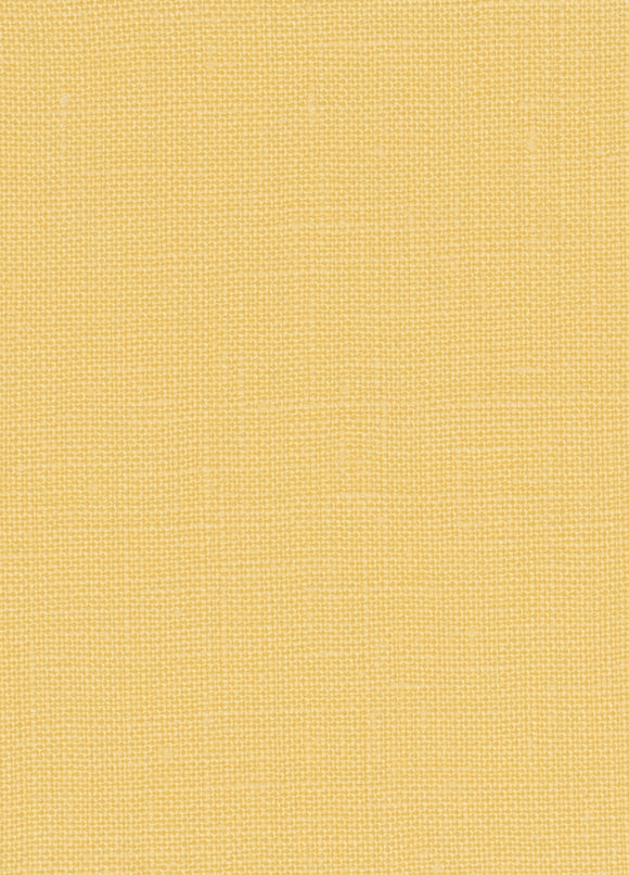 Pale Yellow Swatch